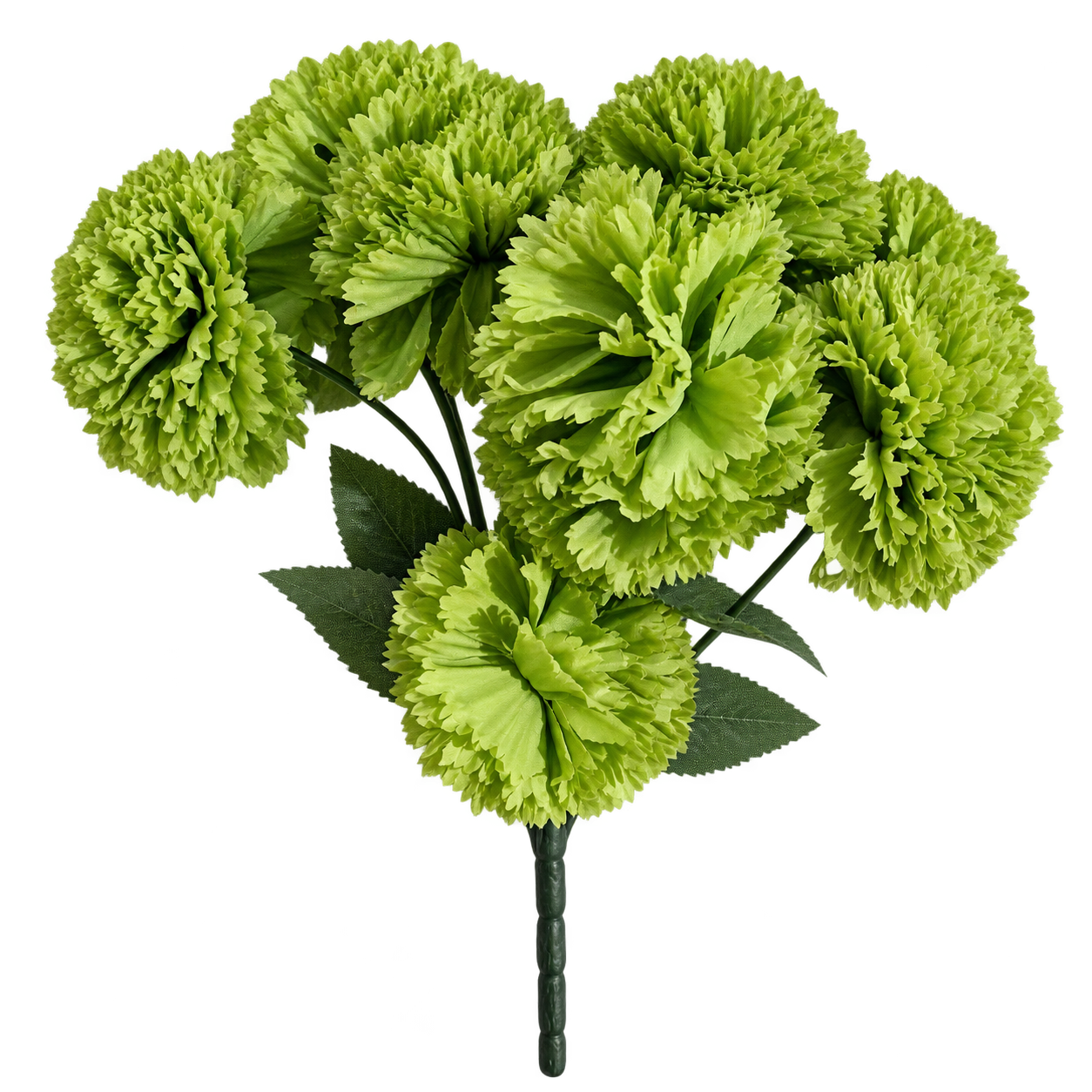 JADE CARNATION