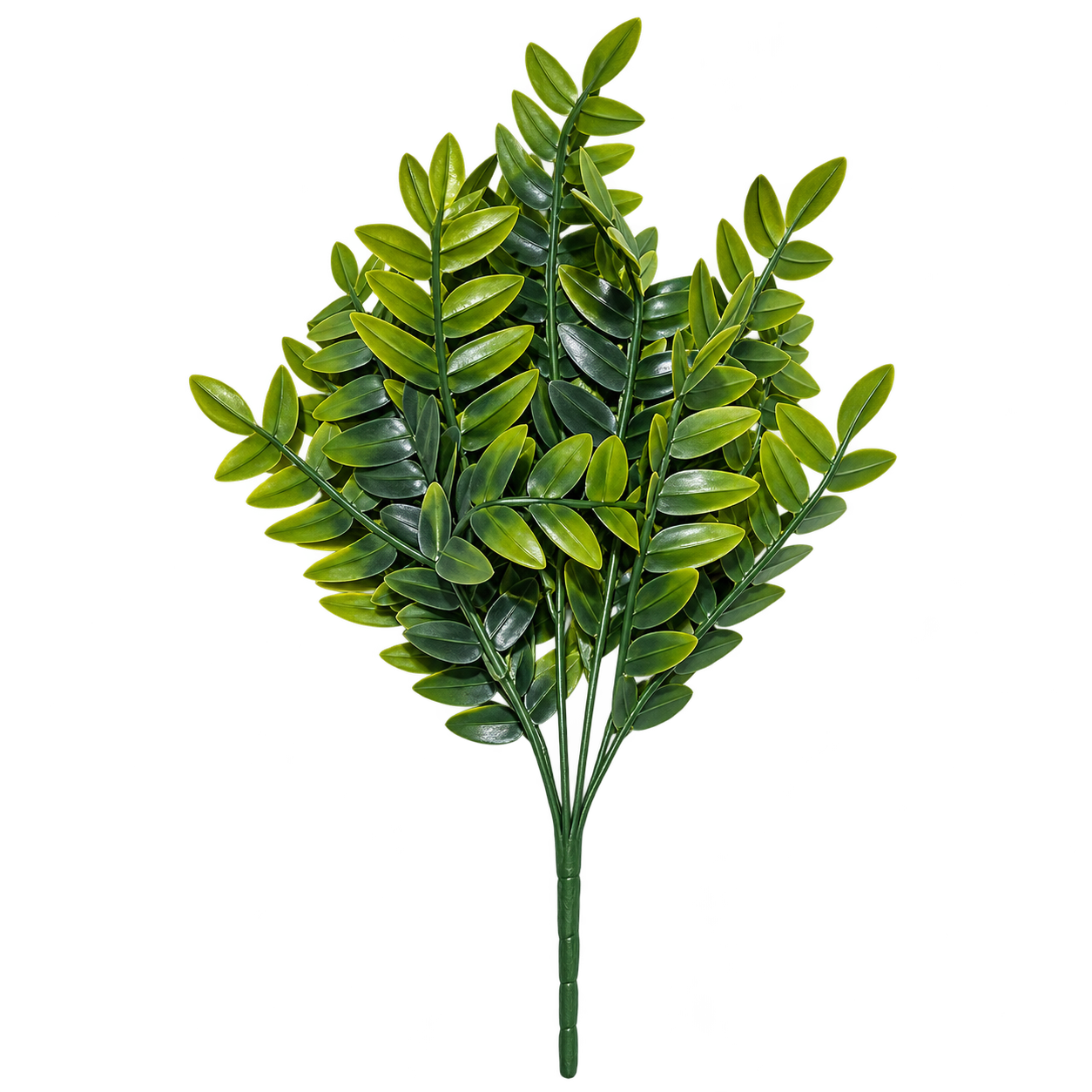 GLOSSY GREEN