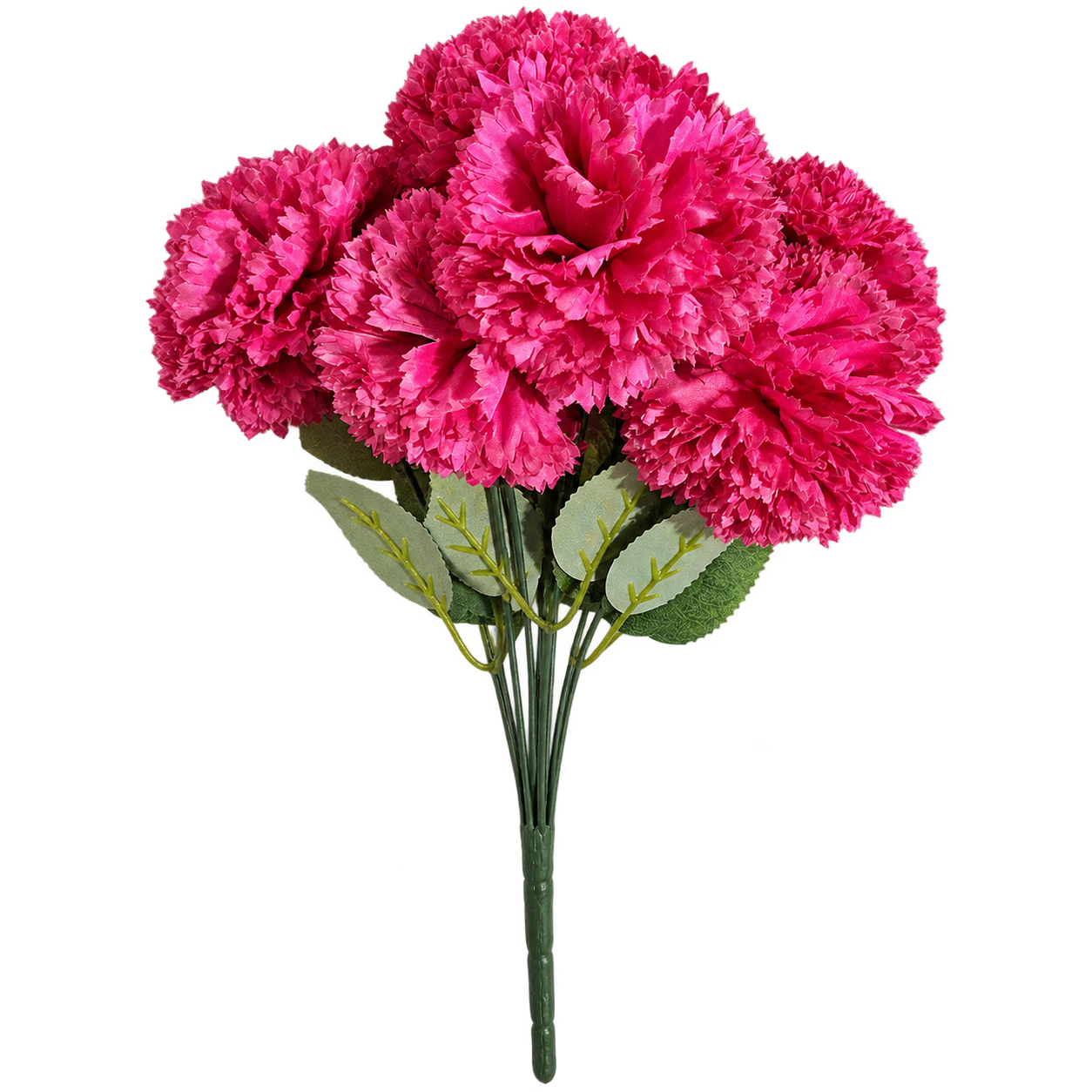 CARNATION ROYALE