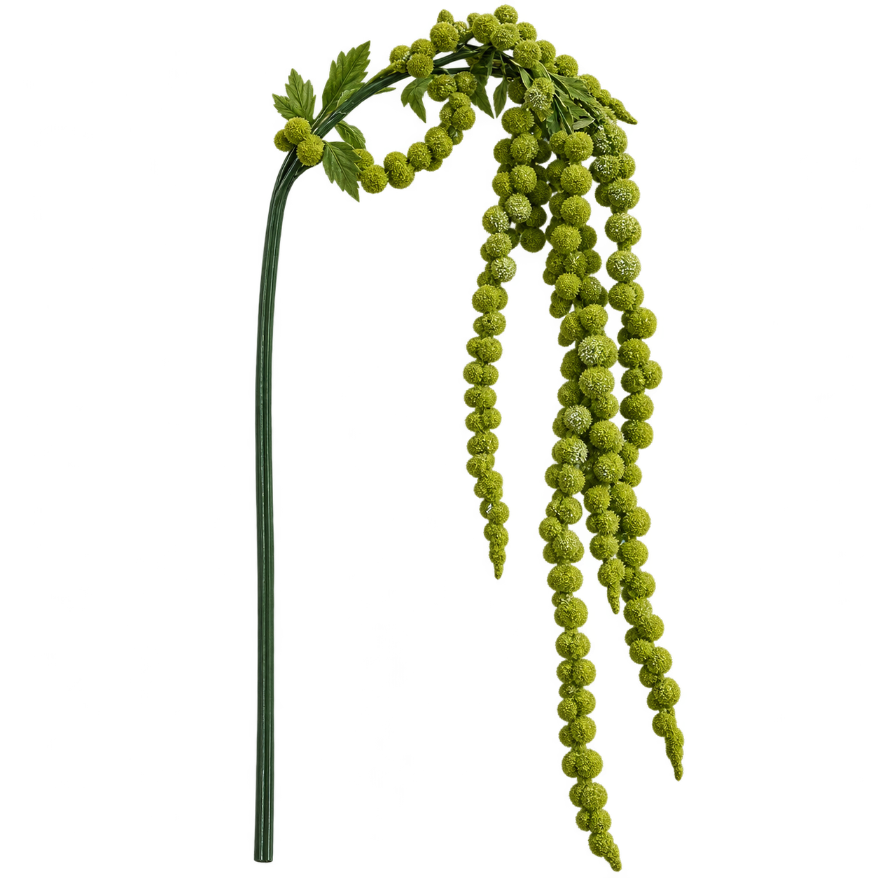 MOSS CASCADE