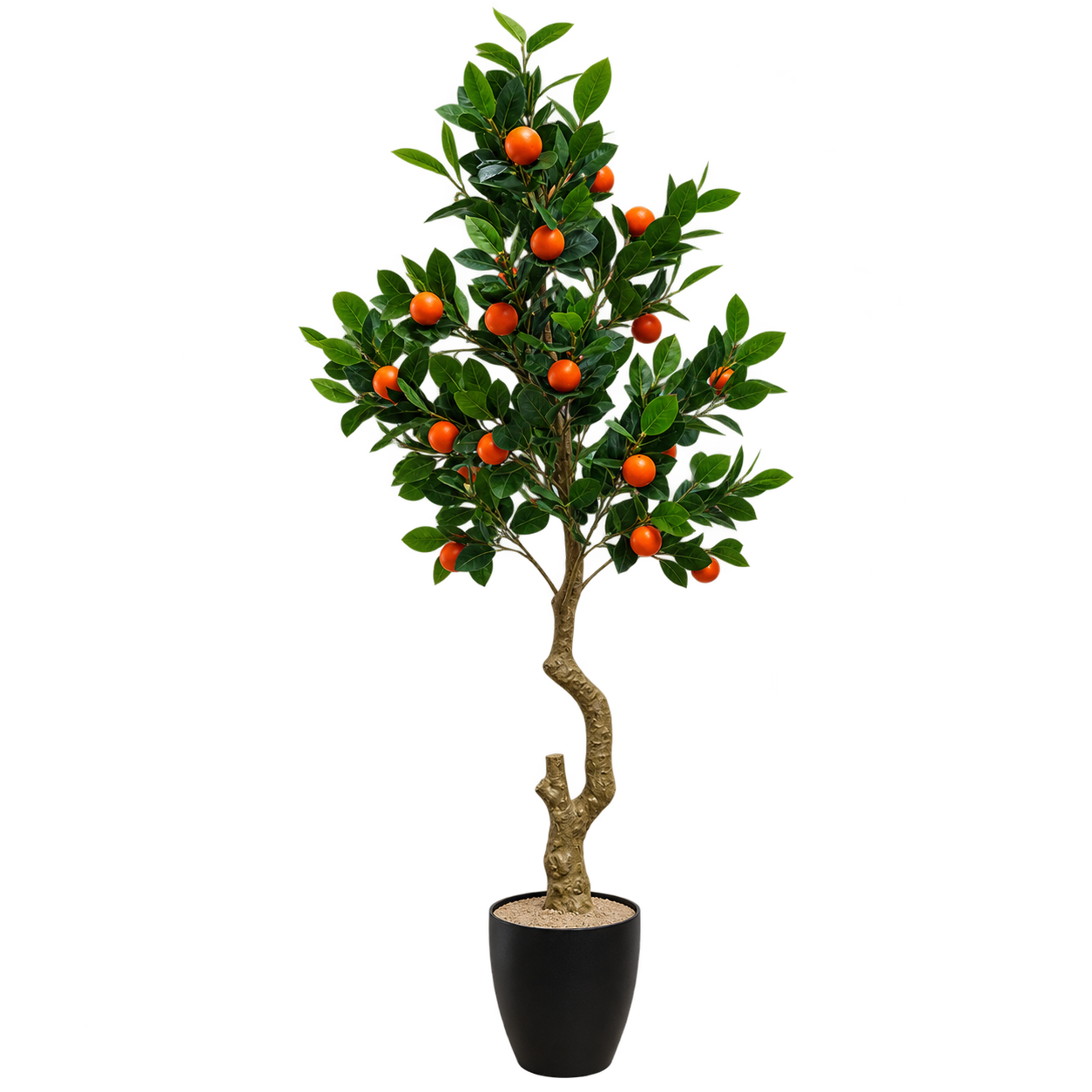 Orange Tree