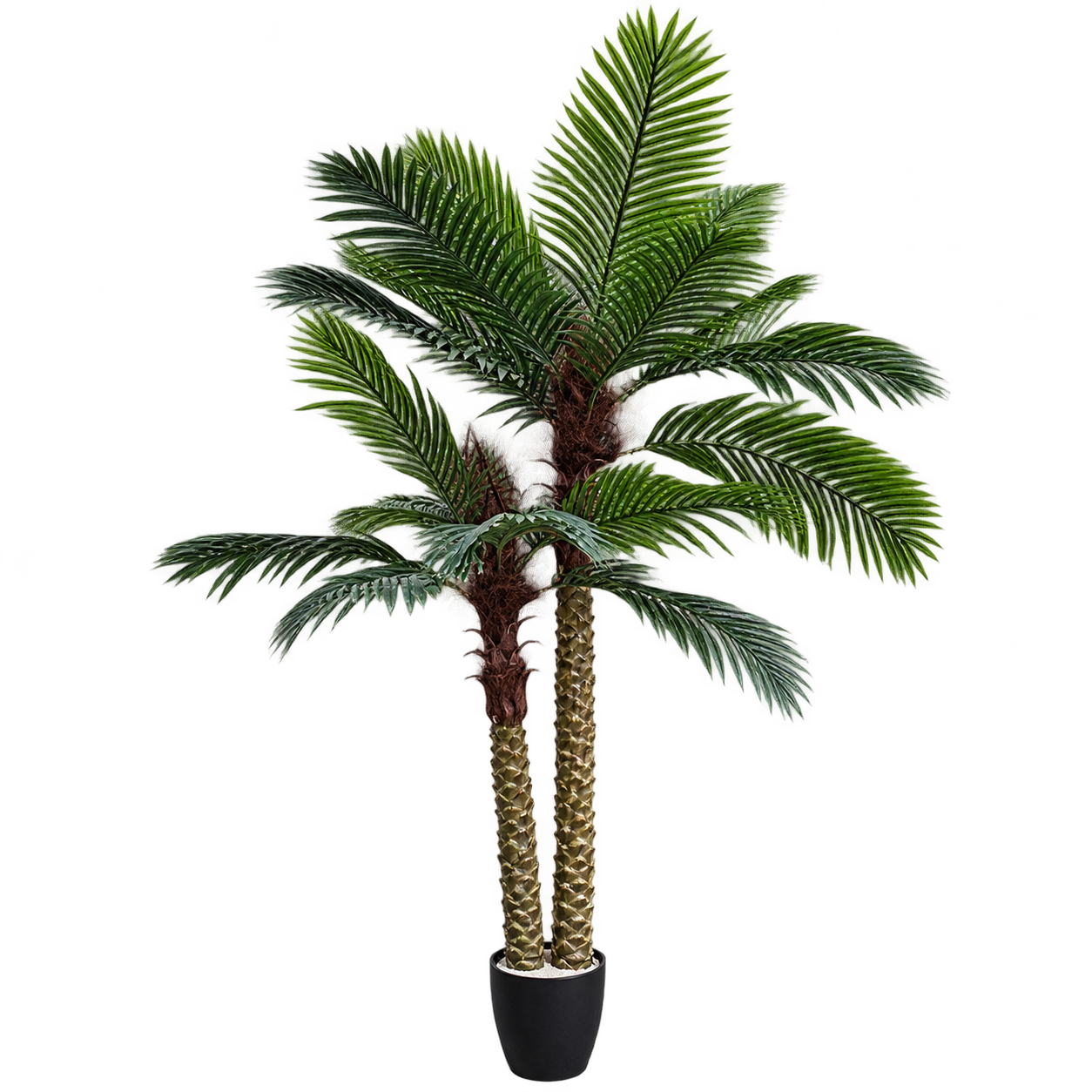 ISLAND PALM TREE