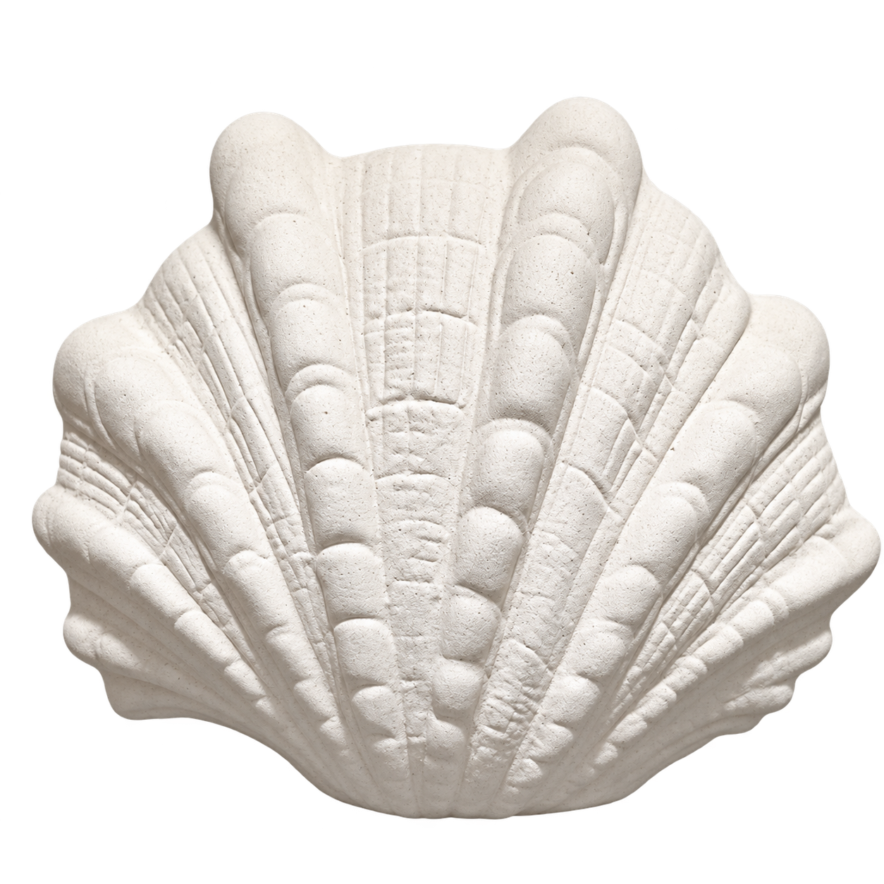 PECTEN - PETIT