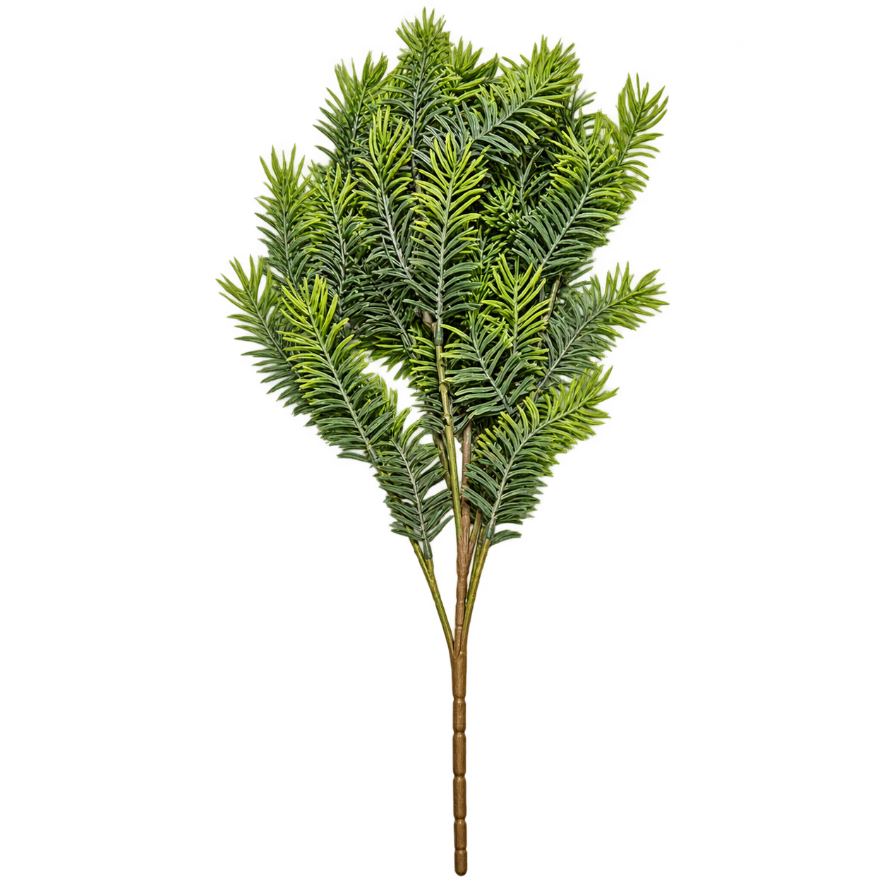 WARM NEUTRAL GREENERY