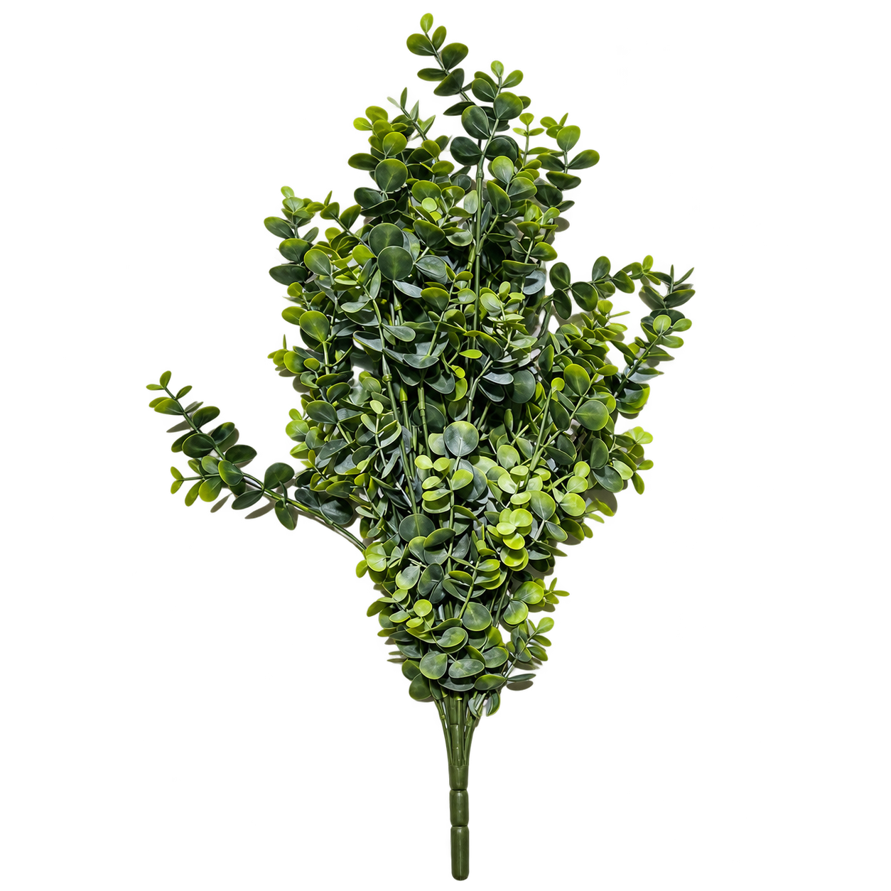 ELEGANT EUCALYPTUS